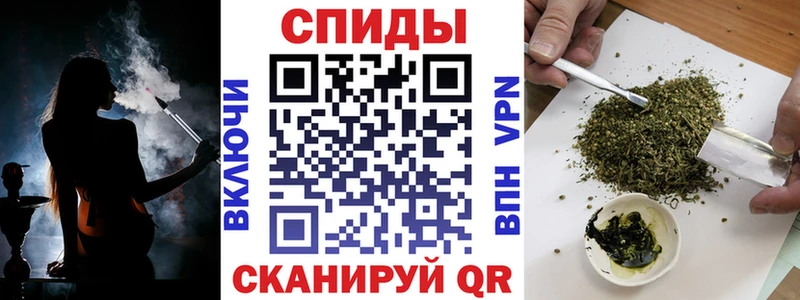 мега вход  Камень-на-Оби  БУТИРАТ BDO 