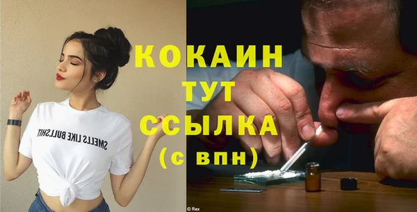 кокс Алексин