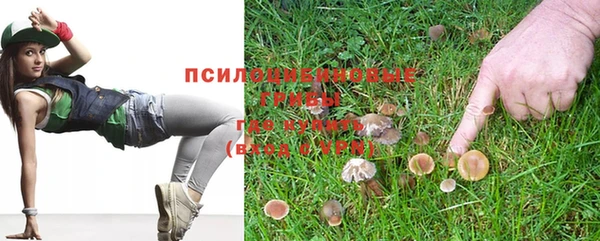 кокс Алексин