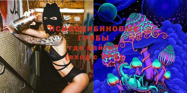кокс Алексин